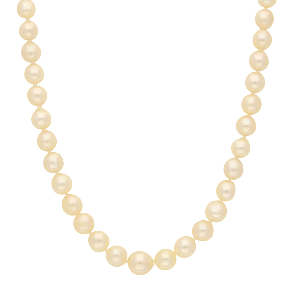 Cultured Pearl Necklace