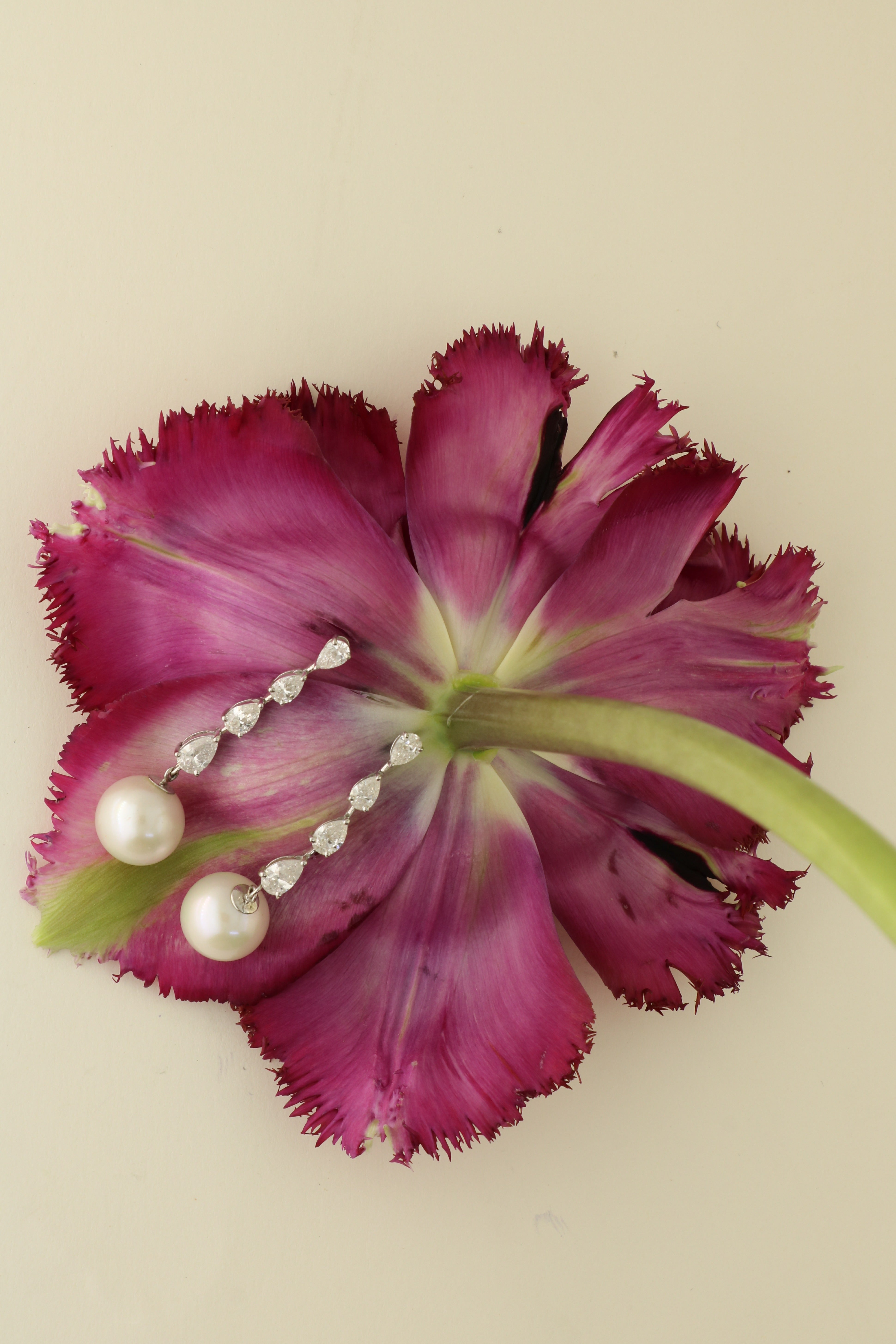 Pink flower with pearl and platinum earrings on a beige background